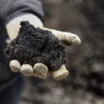 Gloved hand holding black oil rich sand from oil sands in Alberta Canada