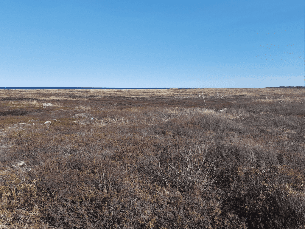 Extracted peatland on coast of New Brunswick 