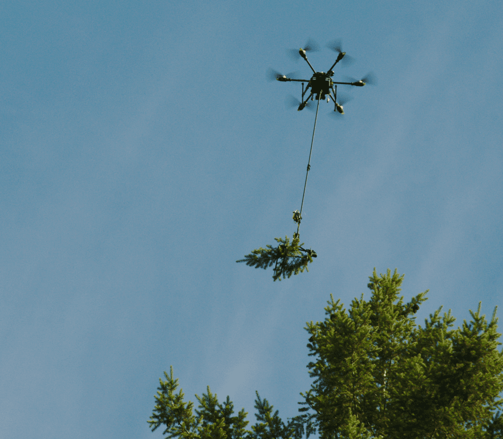 Drone flying in air above forest with tree branch suspended from bottom with wire