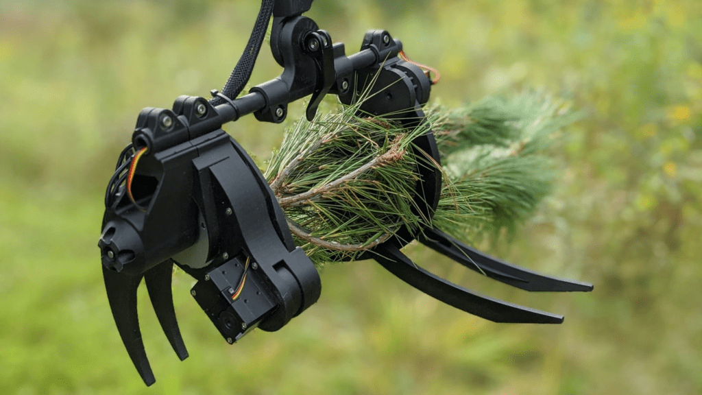Claw-like tool holding tree branch