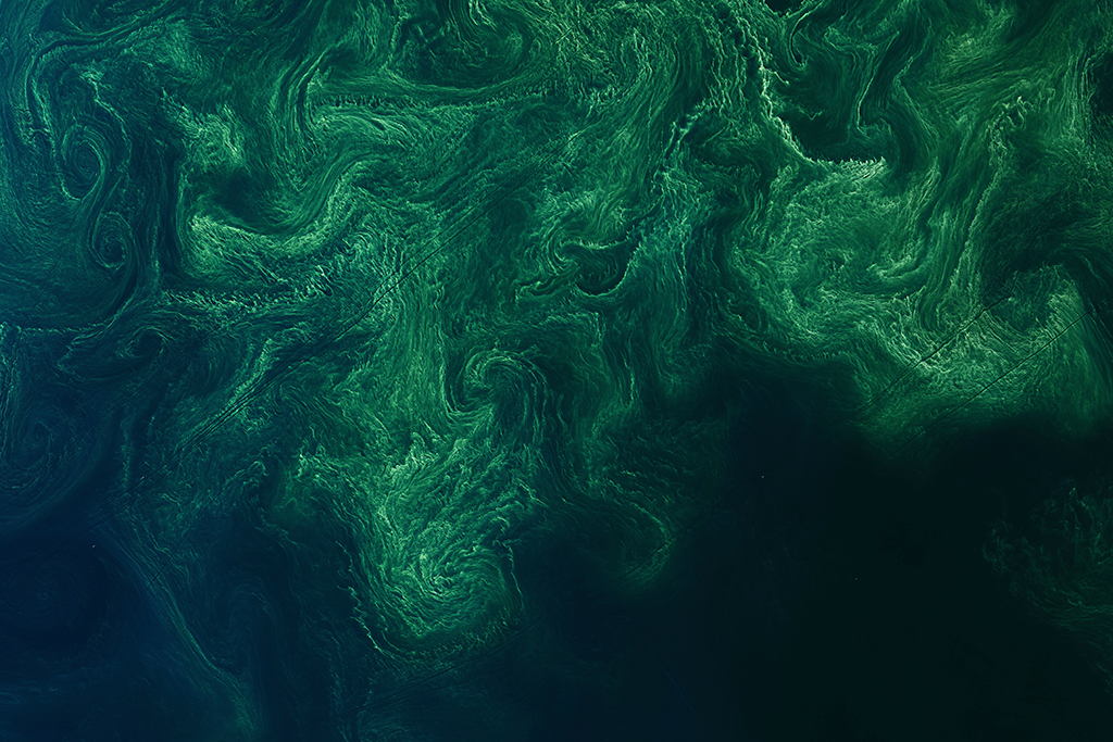 Aerial image of algal bloom in ocean