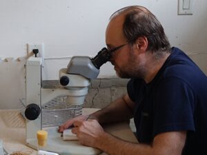 Alistair Coulthard looking into a microscope.