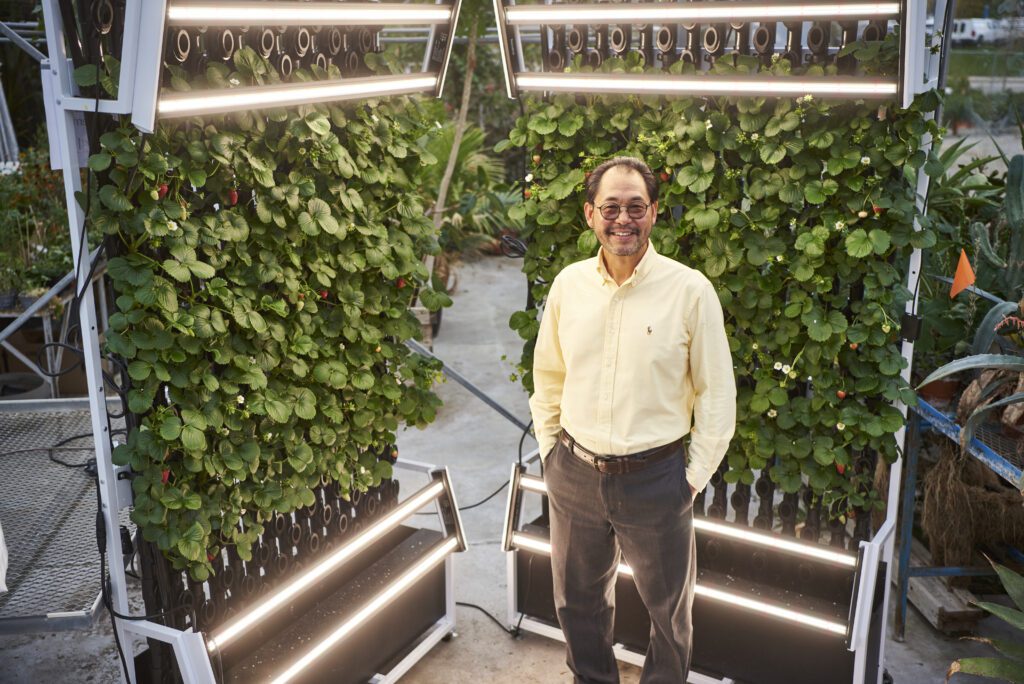 Dr. Zheng stands in front of a vertical wall of strawberry plants lit by LED lights.