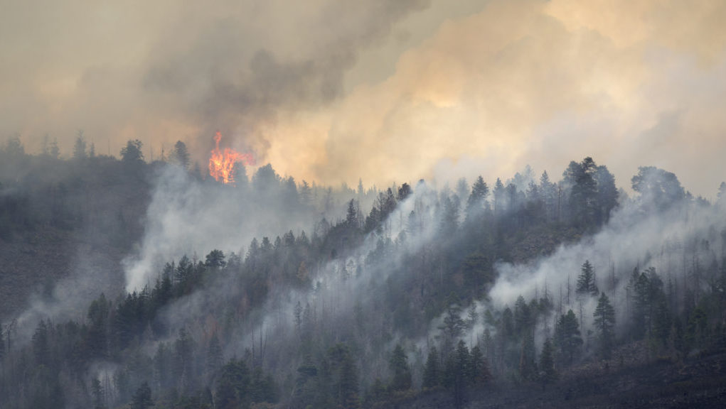 Researchers develop drone-based wildfire early warning system ...