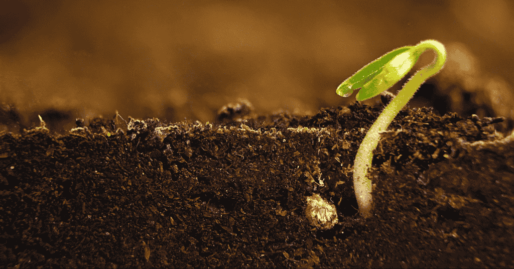 Perspectives on soil science: A new section for the Canadian Journal of Soil Science