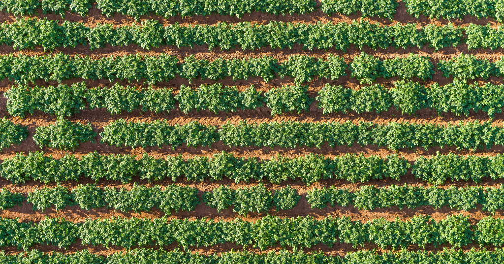 Cultivating Change with Dr. Judith Nyiraneza