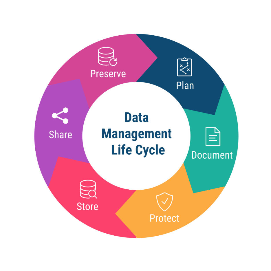 Research data management lifecycle, comprising the processes: plan, document, protect, store, share, and preserve.