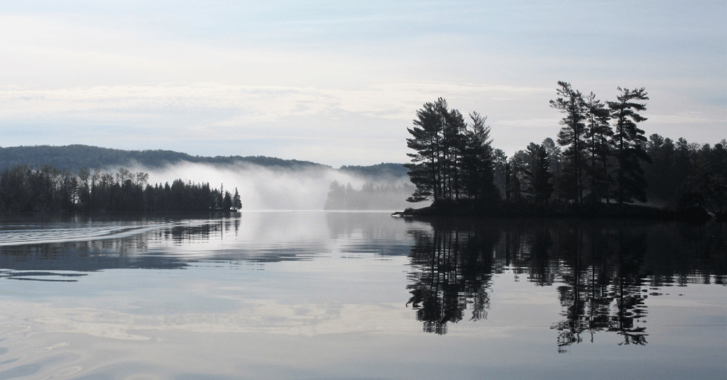 Equity for early-career researchers in fisheries and aquatic science
