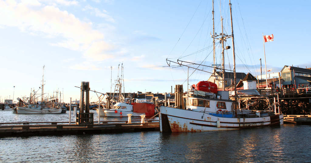 Addressing gaps in marine fisheries science: Part I